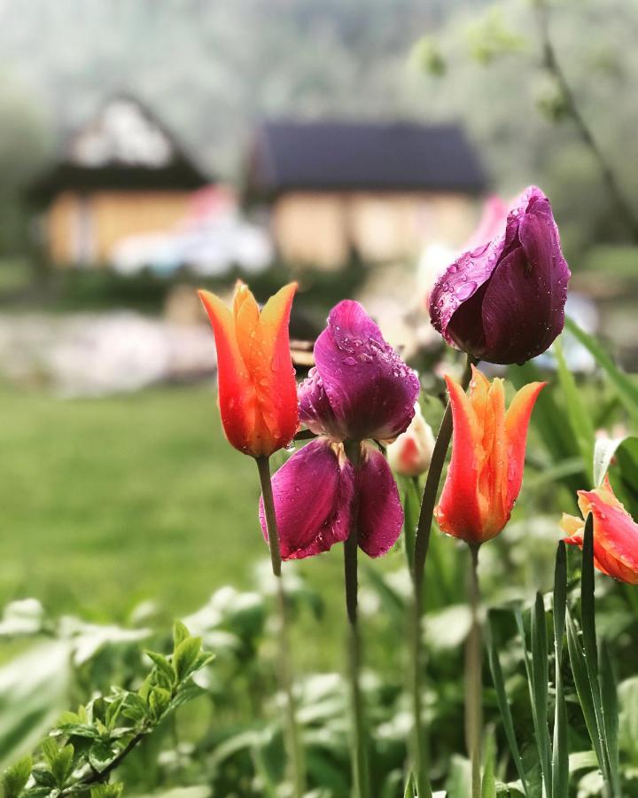 Mala Gorczanska Chatka Ochotnica Dolna Buitenkant foto